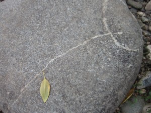 found still-life Yampa core trail